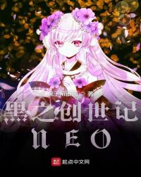 黑之创世记NEO