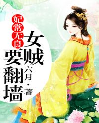 妃常无良：女贼要翻墙