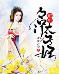 重生名门太子妃