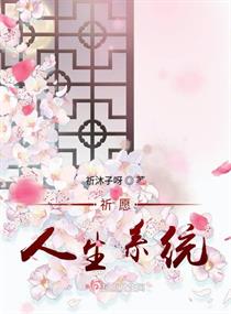 祈愿人生系统