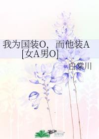 行动目标，敌国元帅[女A男O]