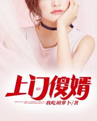 上门傻婿