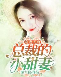 宠妻无度：总裁的小甜妻