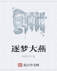 逐梦大燕
