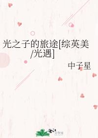 光之子的旅途[综英美/光遇]