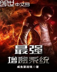最强增益系统
