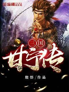 三国甘宁传
