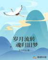 岁月流转，魂归旧梦