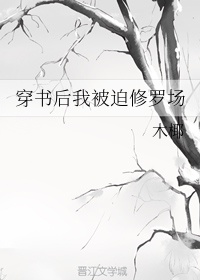 穿书后我被迫修罗场
