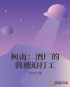 柯南：酒厂的我被迫打工